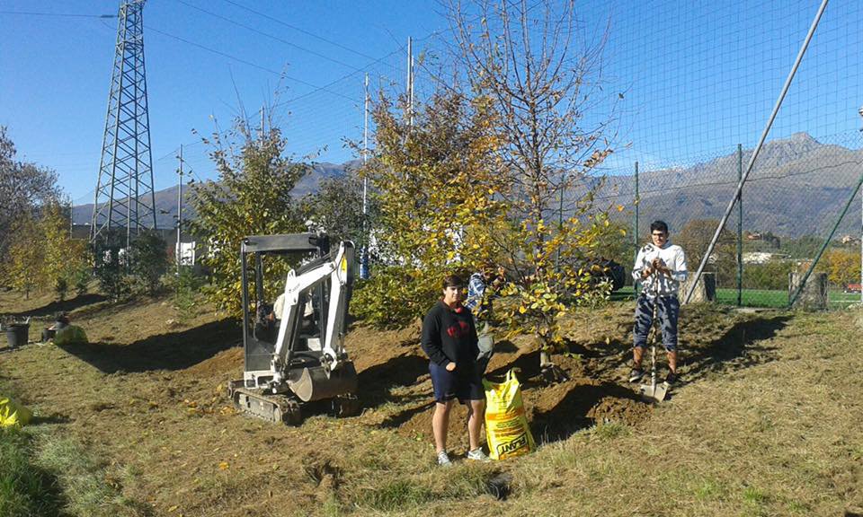 Pianta un albero. Iniziativa di Nuova Assauto in provincia di Biella.